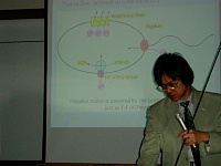 ��g�[�ꎁ�̓��ʍu��