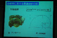 ���{�@�����̍u��