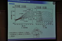 �ɐ��q�F���̍u��