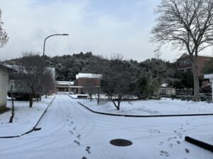 今年一番の寒波(2026.1)